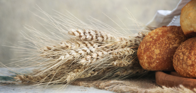 Nany's Crust & Crumb