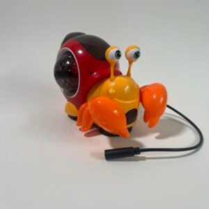 Switch-Adapted Hermit Crab